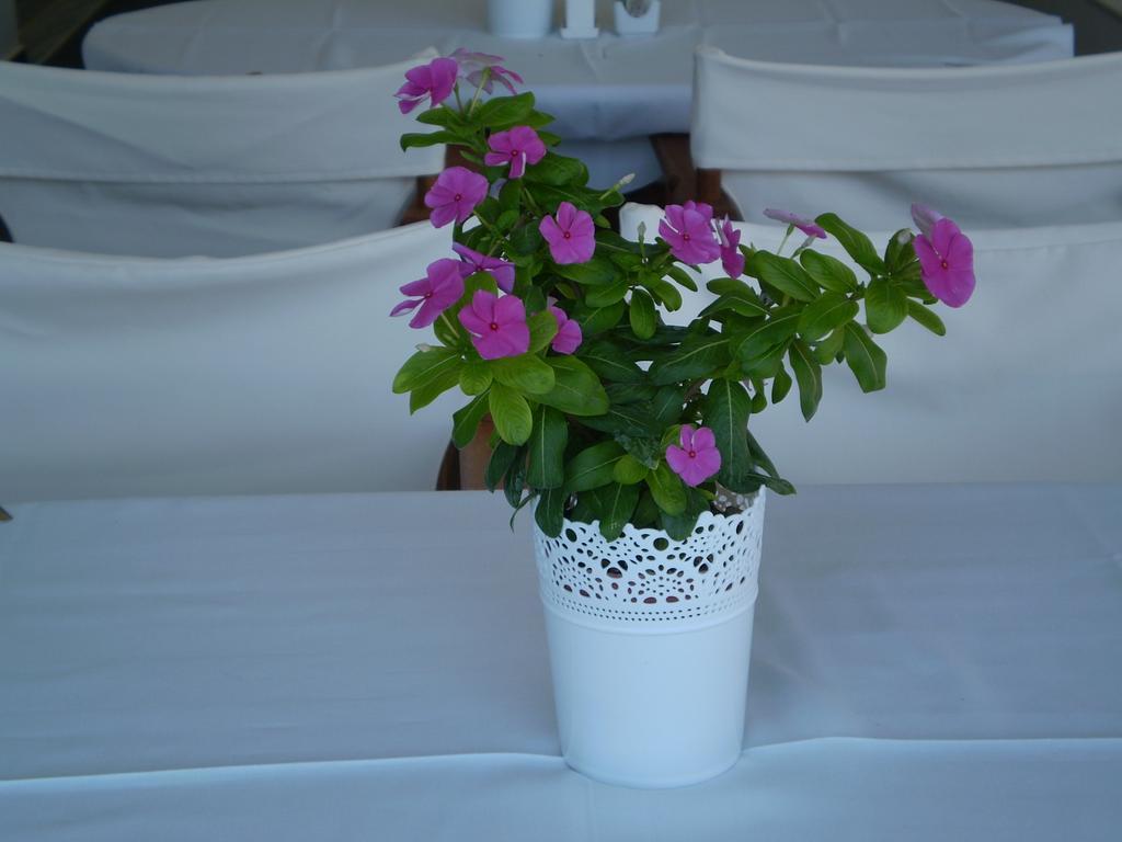 Athena Hotel Milopotamos  Bagian luar foto