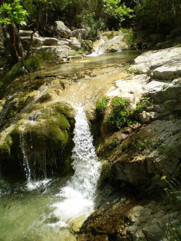 Athena Hotel Milopotamos  Bagian luar foto